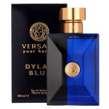 VERSACE DYLAN BLUE POUR HOMME EDT 100ml