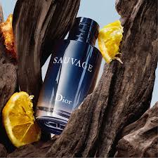 DIOR SAUVAGE EAU DE TOILETTE 100ml